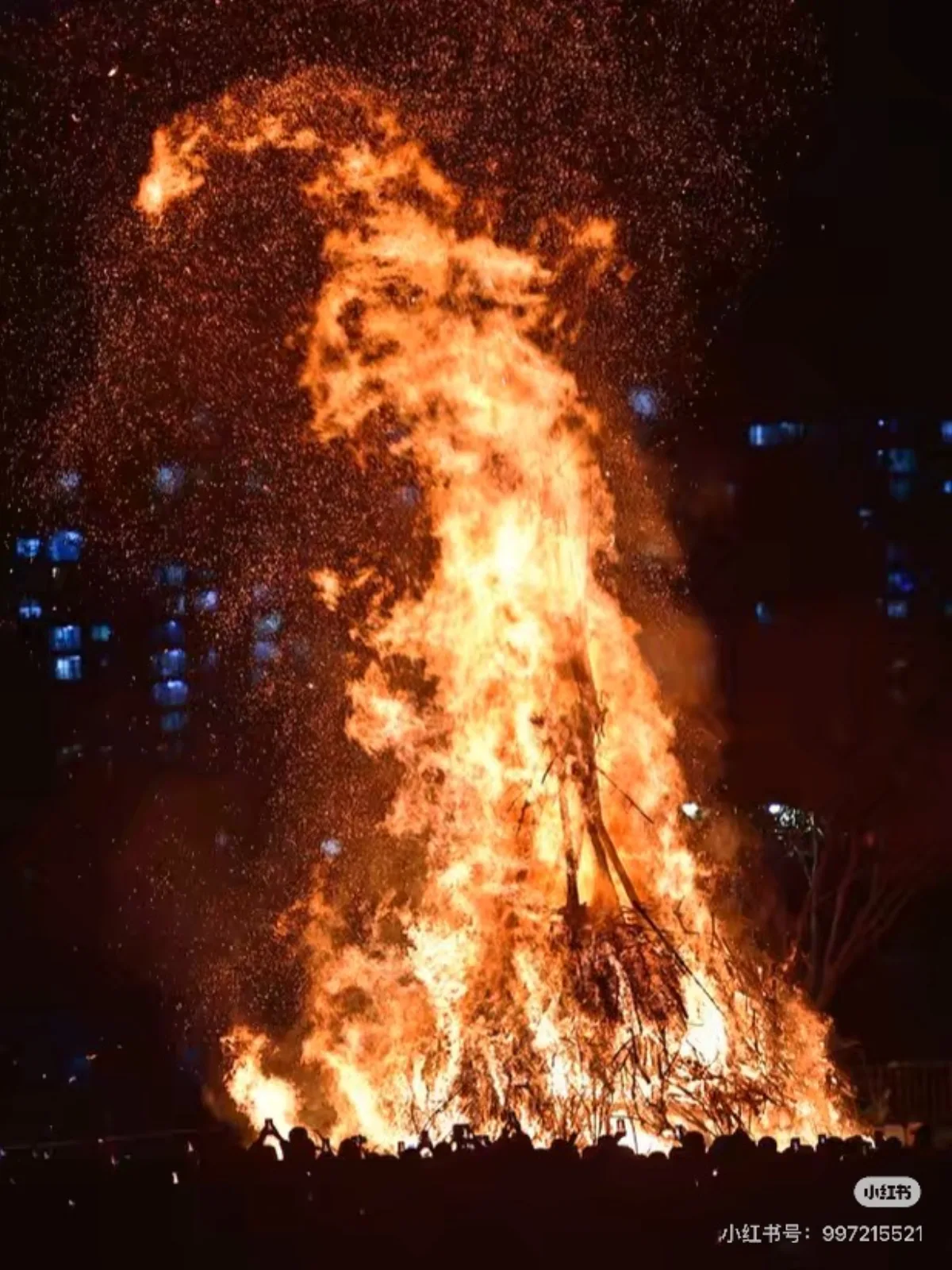 A massive Daljip Taeugui bonfire blazing at night during Jeongwol Daeboreum, with silhouettes of spectators in the foreground