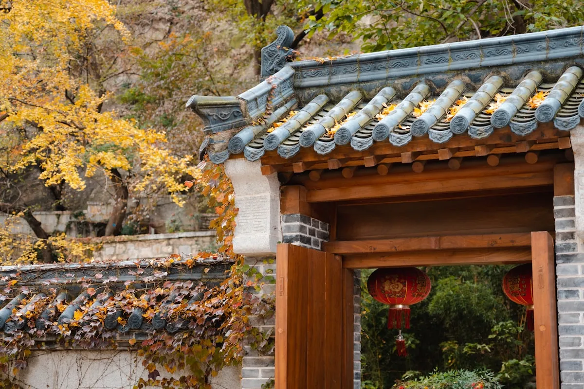 Taoist temple with ancient ginkgo trees in misty mountains